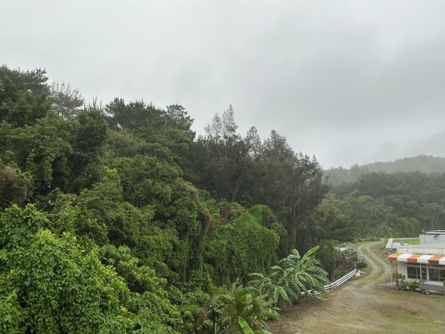 本部の空模様