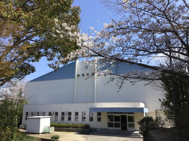 この桜が入学式まで咲いていますように…
