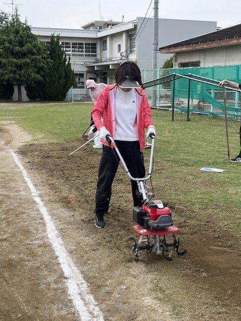 土がふかふかに。