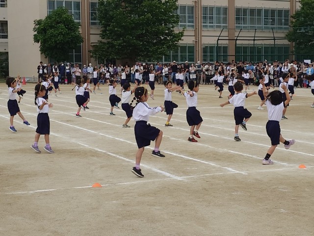 　年生 しかのこ☆とらのこ☆きしまのこ