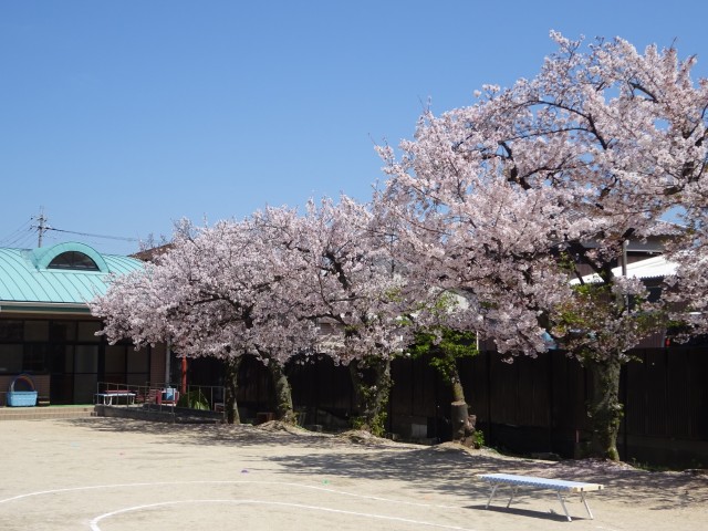 DSC01559.JPG