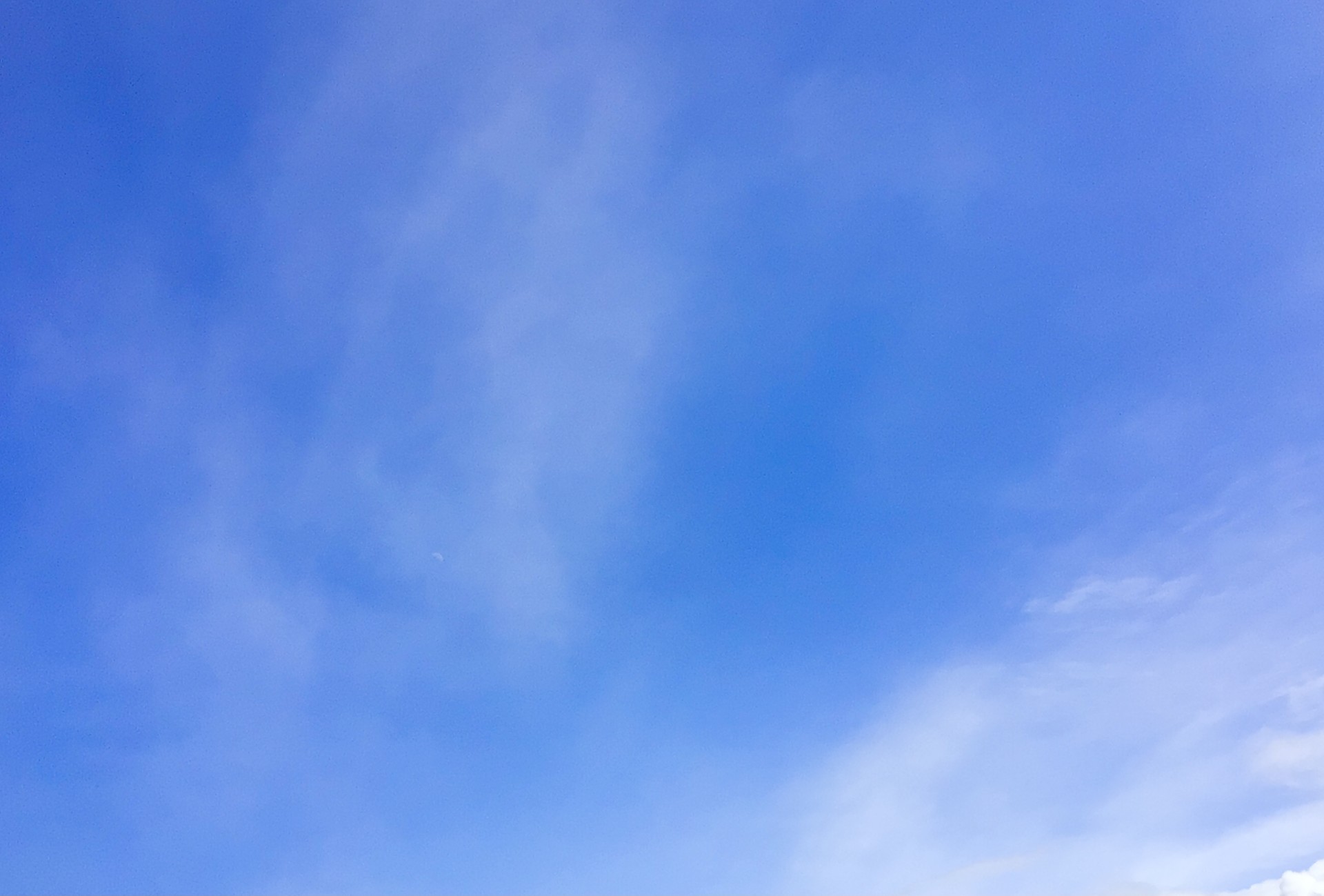 2E593230-1F13-4043-9415-17E066E62E2D.jpeg